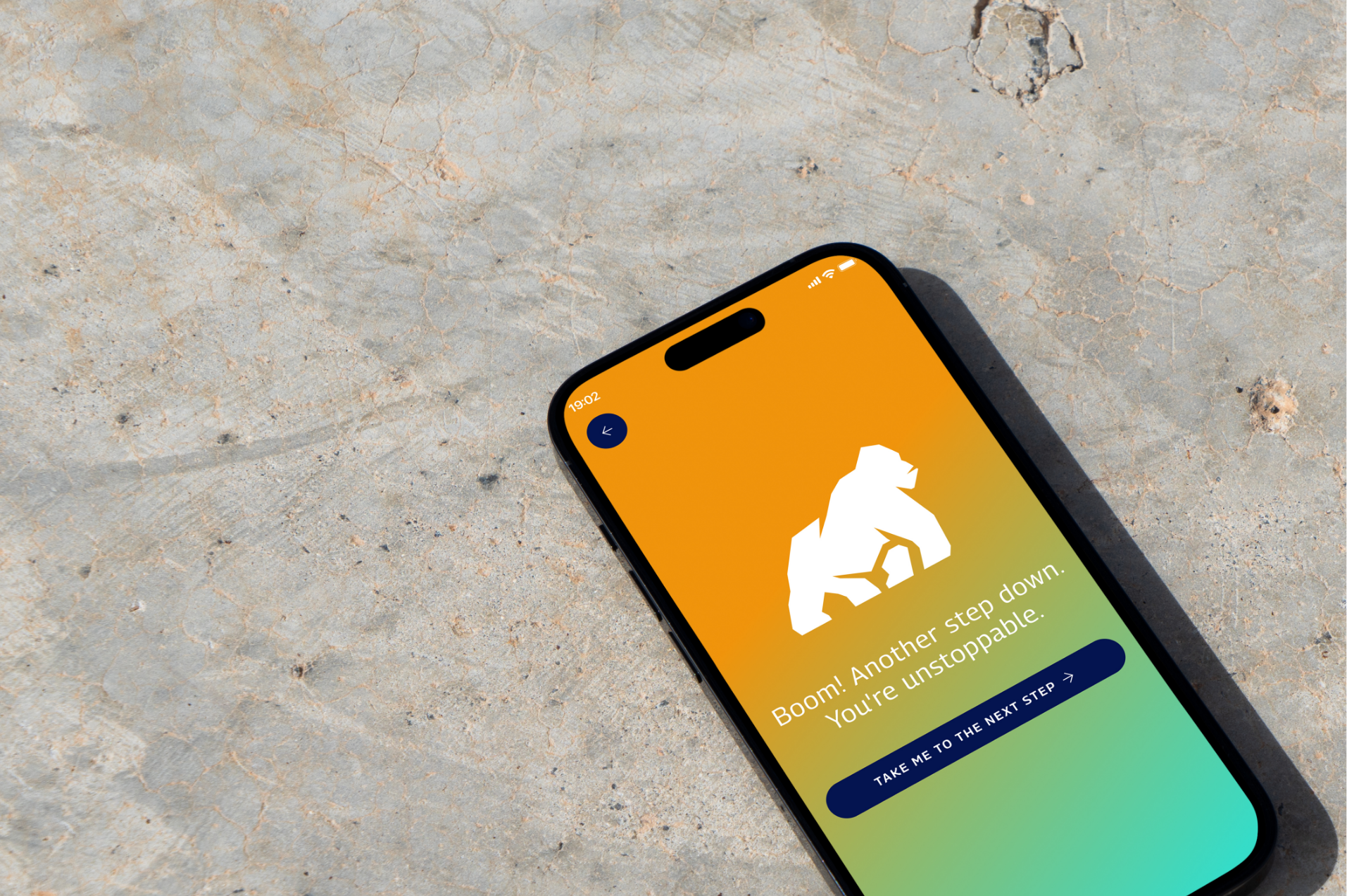 Mobile phone displaying Daley World Flooring app, custom designed and developed by Array.