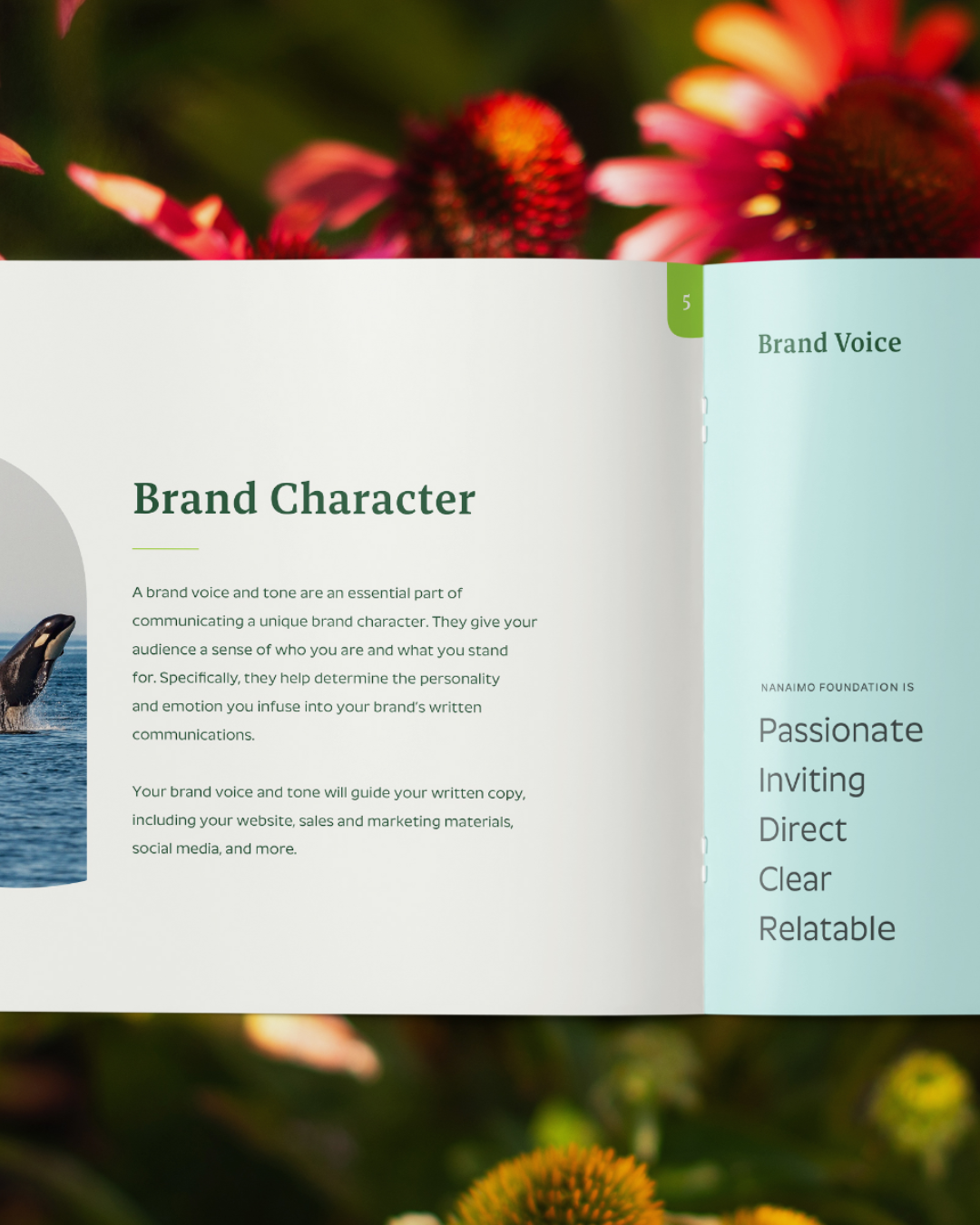 No alt text available