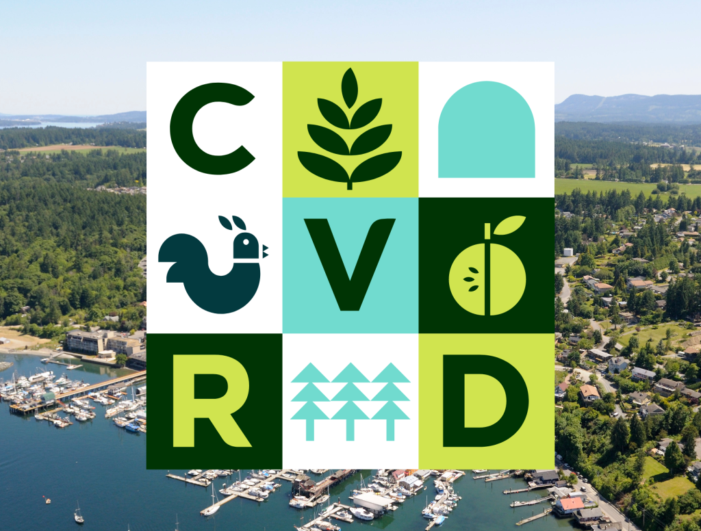 CVRD Accessible Brand Strategy